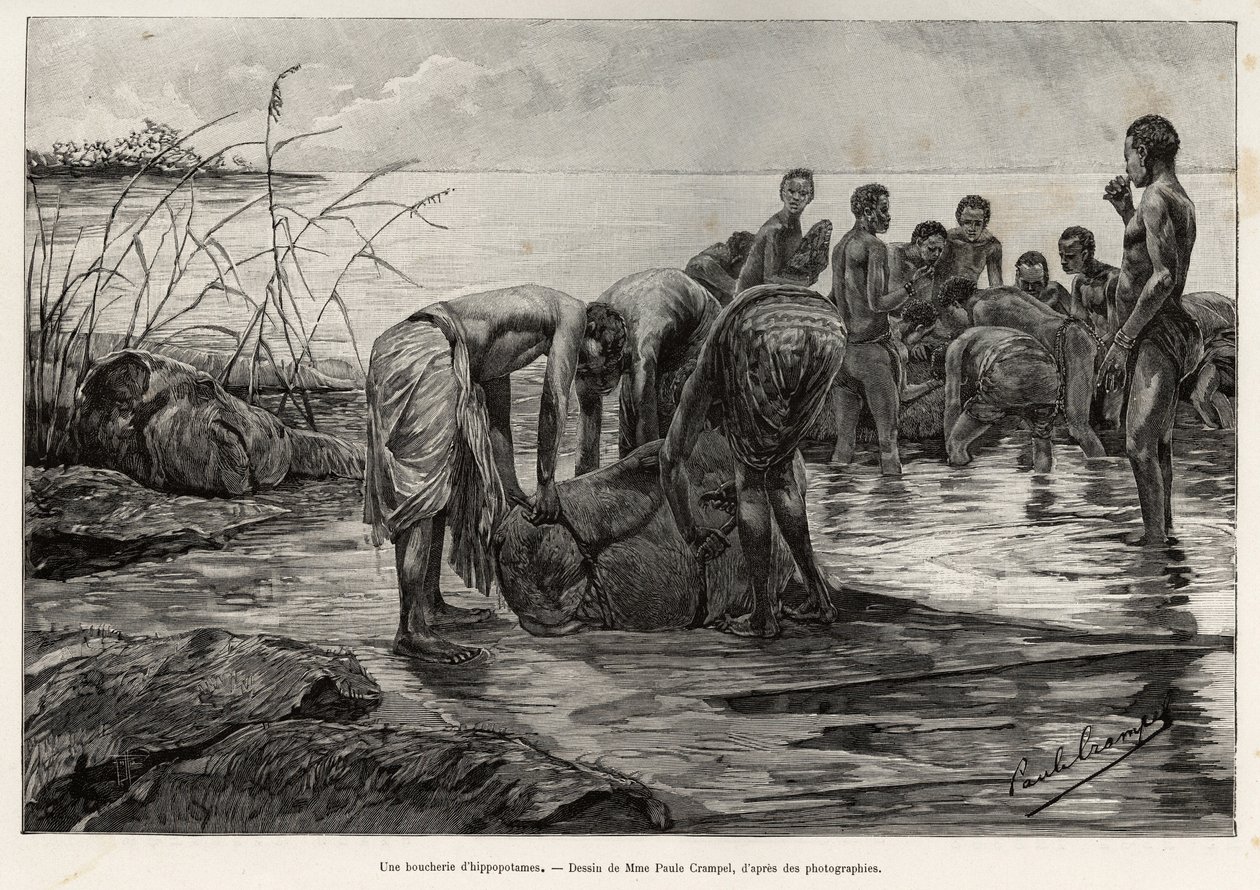 En flodhästslaktare på stranden av en centralafrikansk flod. Gravyr av Henri Thiriat för att illustrera berättelsen "" La mission Crampel"", av Albert Nebout (1862-1939), 1890, i Le tour du Monde 1892, regisserad av Edouard Charton (1807-1891), Hachette, P av Henri Thiriat