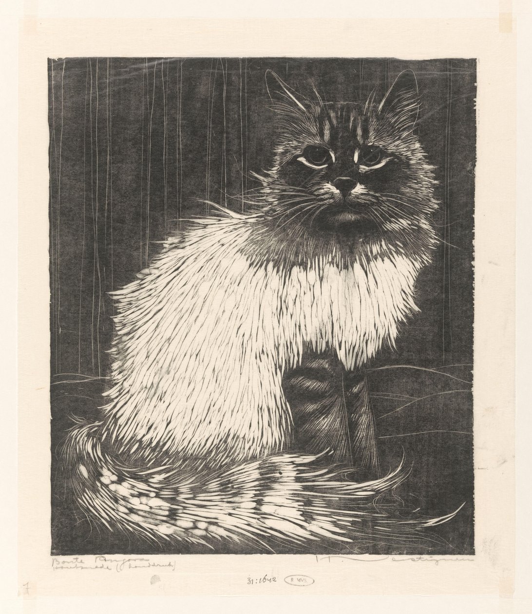 Bonte Angora (originaltitel på objekt) av Henri Verstijnen (signed by artist)