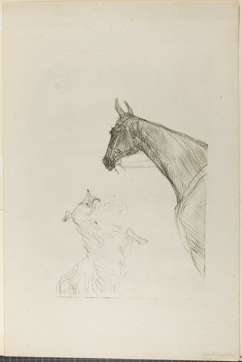 Häst och Collie av Henri de Toulouse-Lautrec