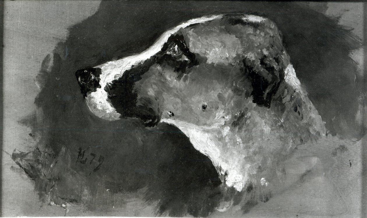 Huvud av en hund med korta öron, 1879 av Henri de Toulouse Lautrec