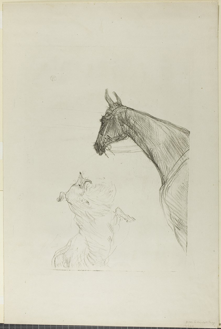 Häst och Collie av Henri de Toulouse Lautrec