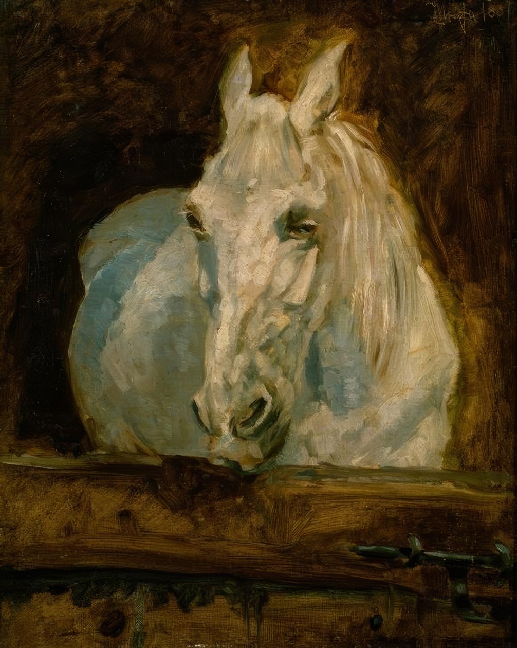 Den vita hästgasellen av Henri de Toulouse Lautrec