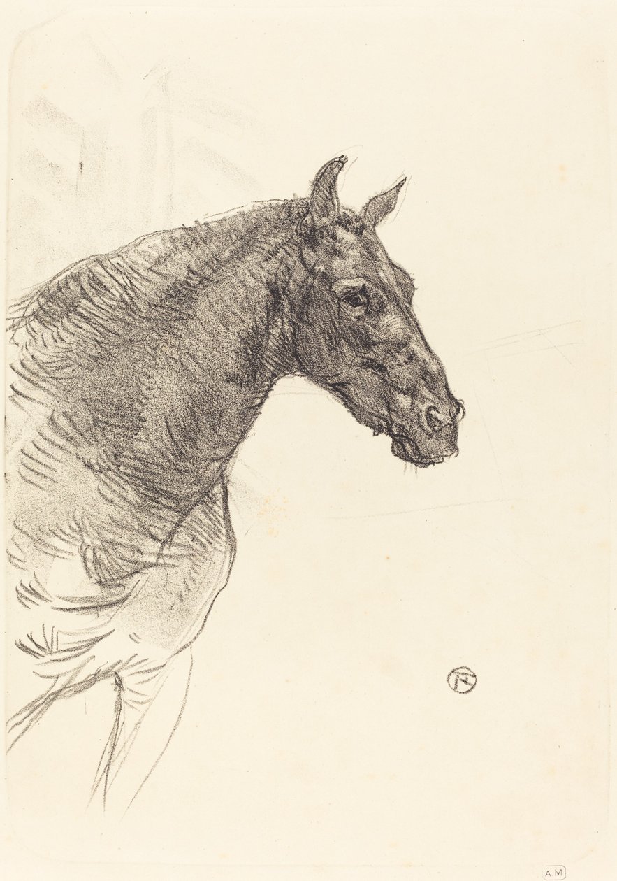Gammal häst av Henri de Toulouse Lautrec