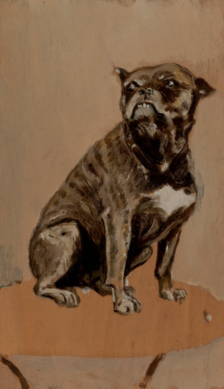 Touc, sittande på ett bord av Henri de Toulouse Lautrec