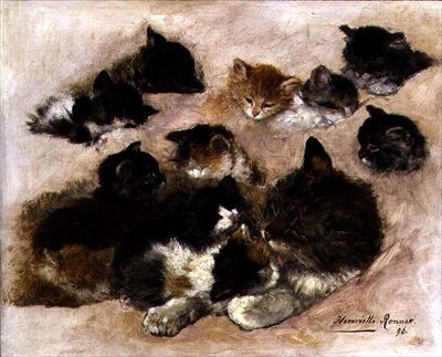 Studie av katter och kattungar av Henriëtte Ronner Knip