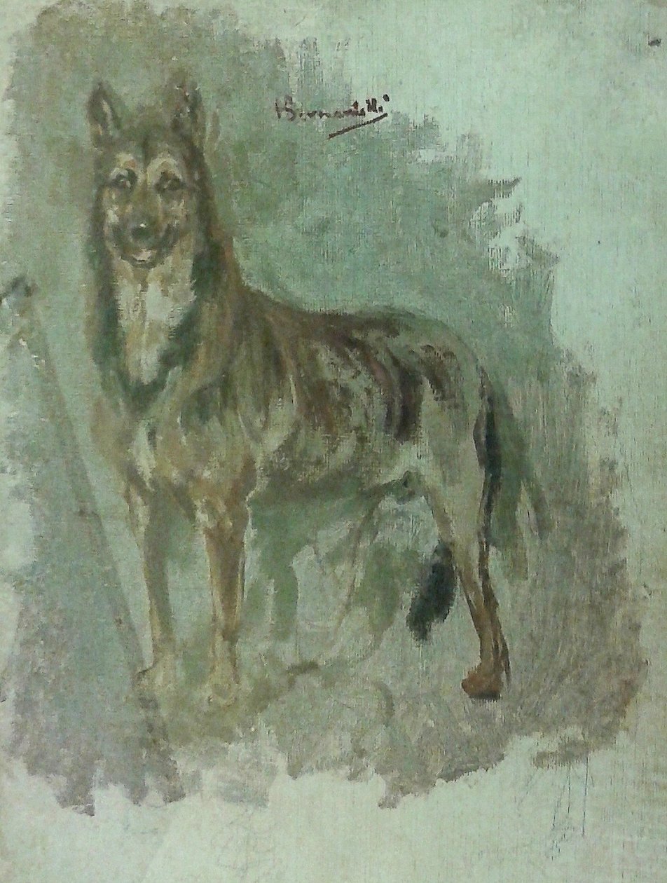 Study of an animal [Dog] av Henrique Bernardelli