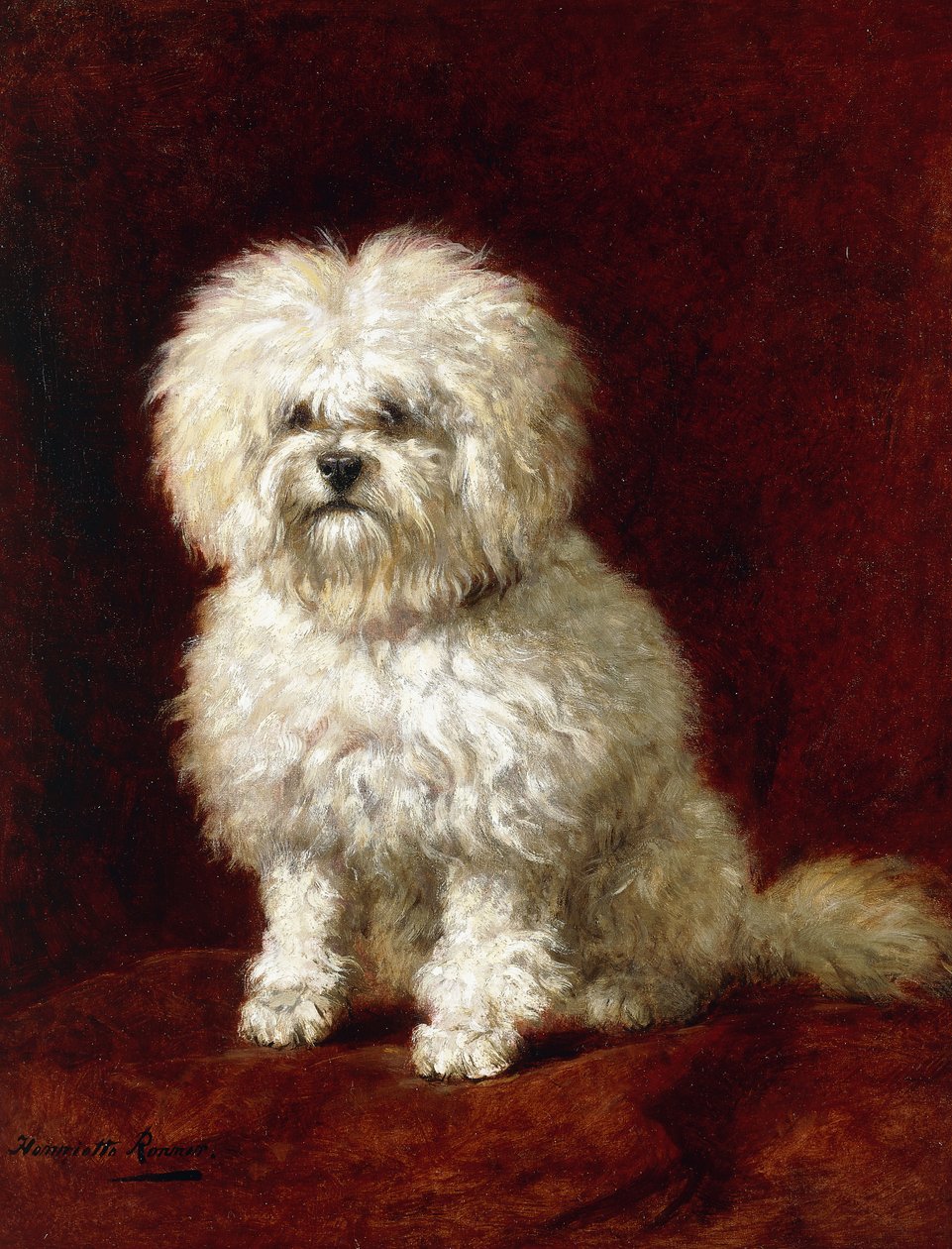 En pudel, av Henriëtte Ronner Knip