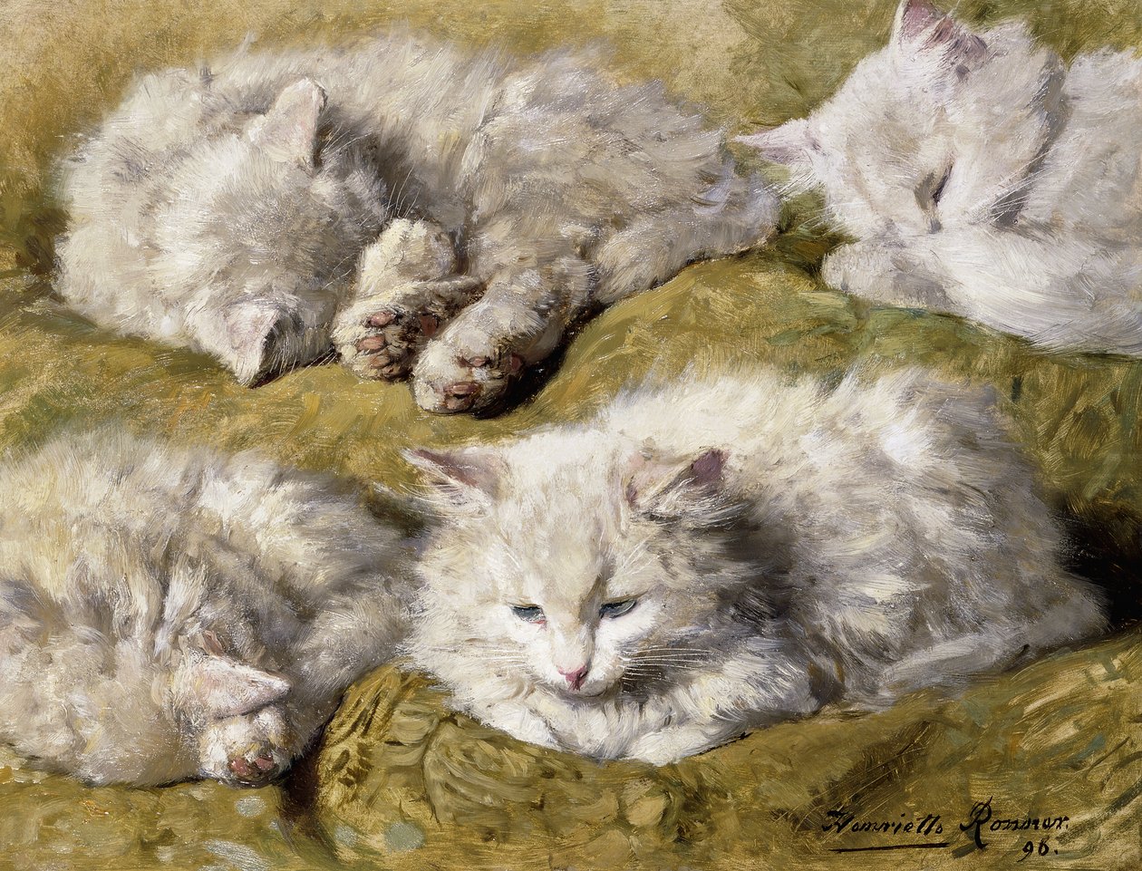 Studier av en långhårig vit katt, 1896 av Henriëtte Ronner Knip