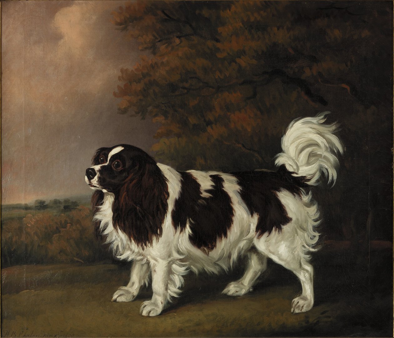 Studie av en King Charles Spaniel av Henry Bernard Chalon
