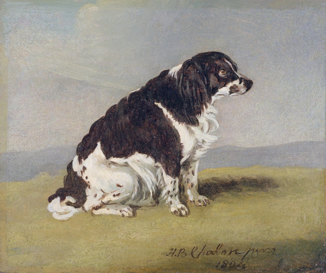Hertiginnan av Yorks spaniel, 1804 (olja på kvarnbräda) av Henry Bernard Chalon