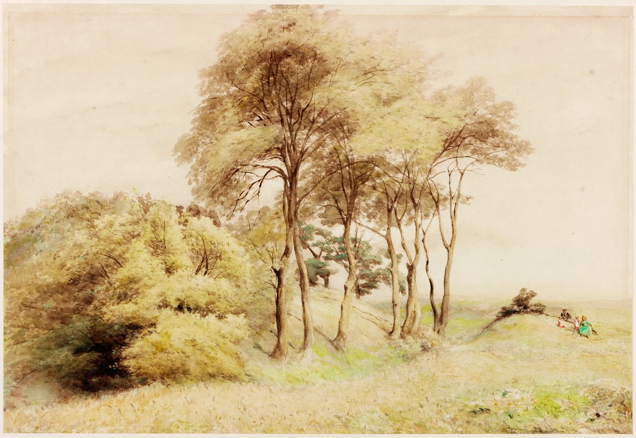 Drumburgh (kroppsfärg) av Henry Burdon Richardson