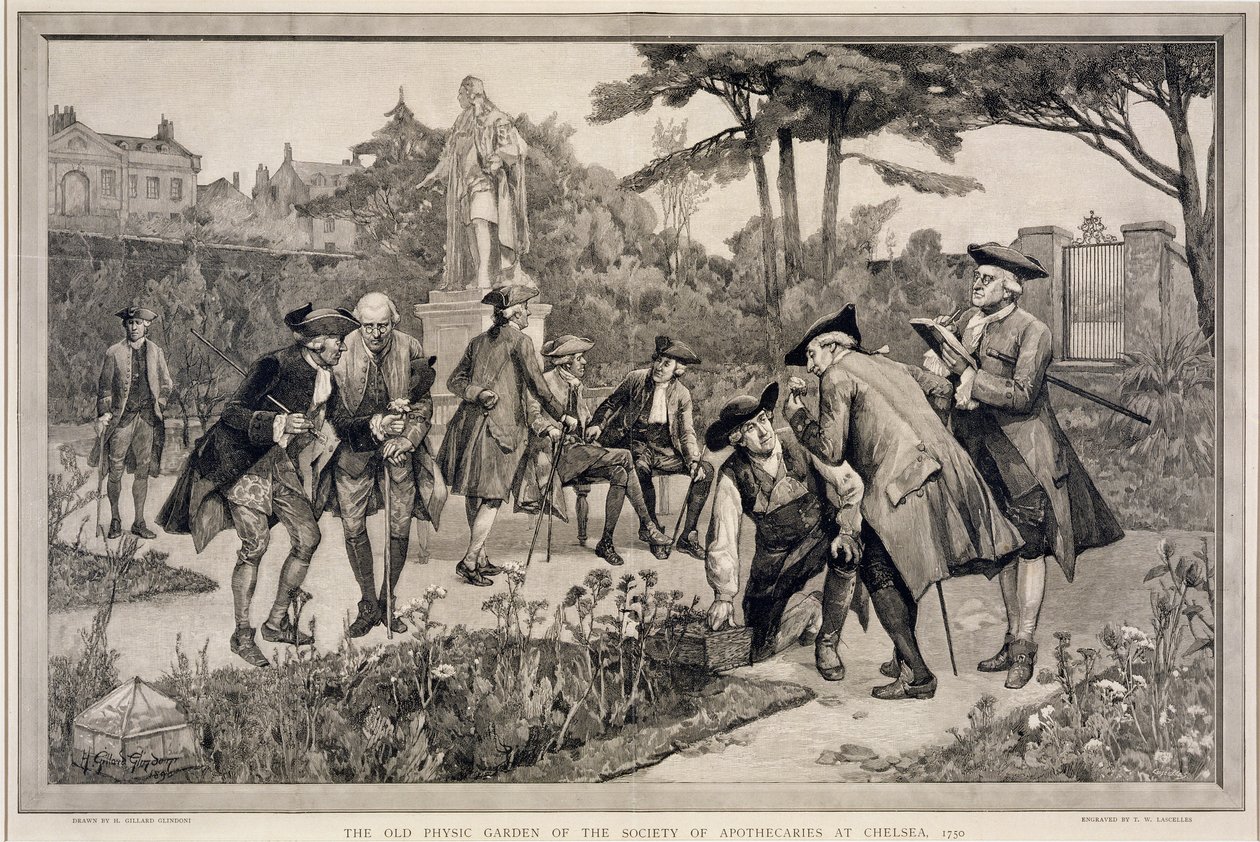 The Old Physic Garden of Society of Apotecaries at Chelsea, 1750, graverad av Thomas W. Lascelles (fl.c.1885), 1890 av Henry Gillard Glindoni