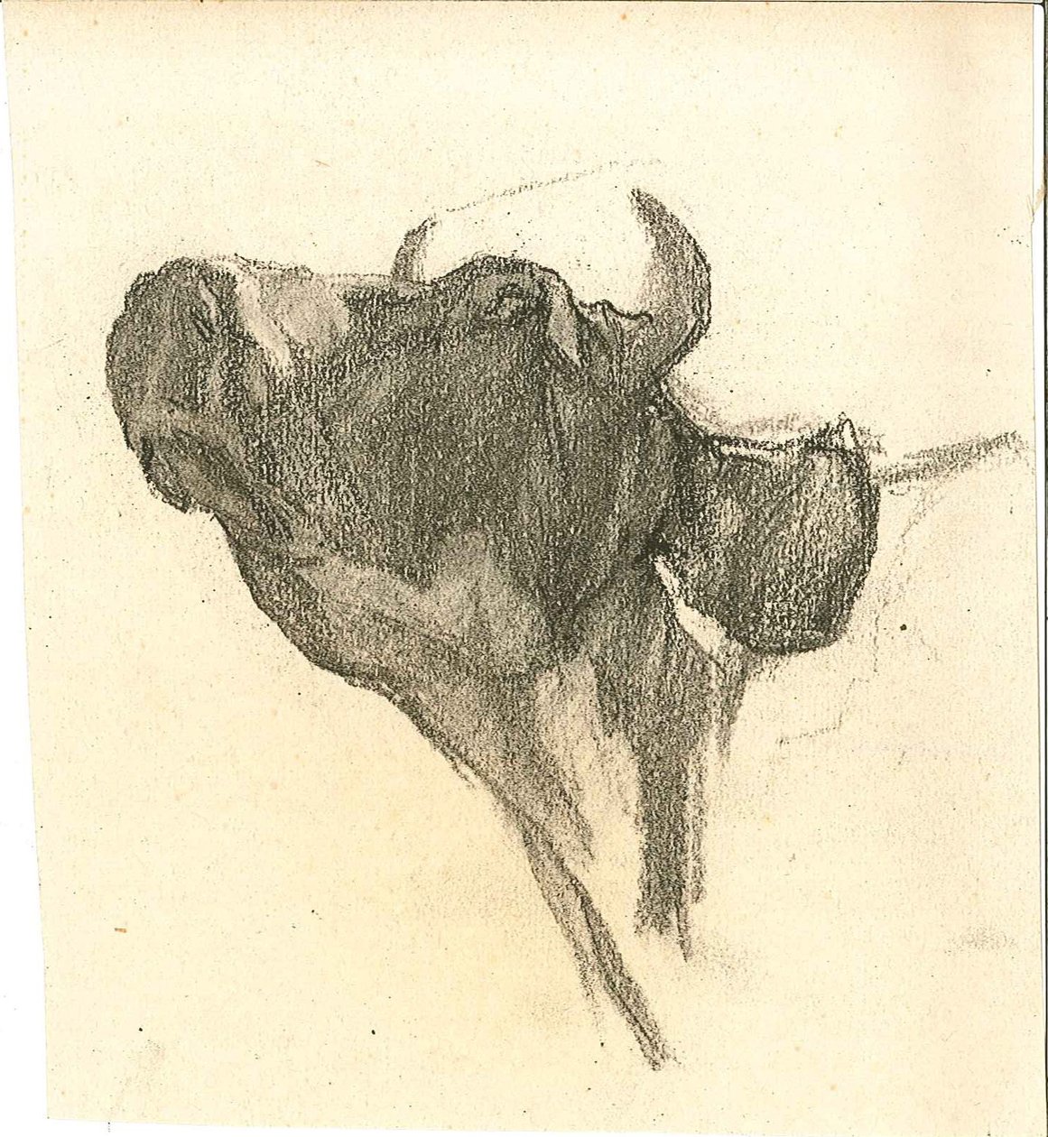 Cow  av Henry Luyten