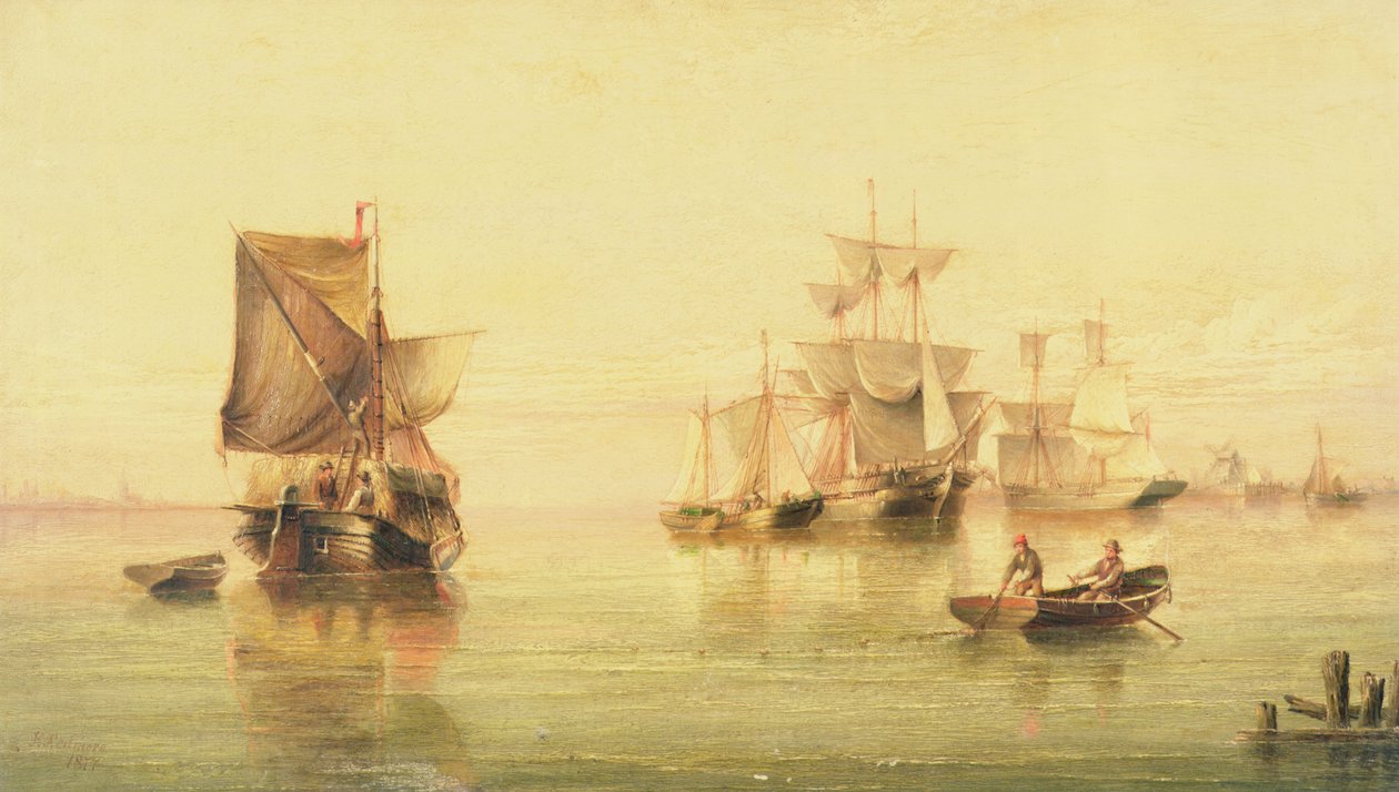 holländska rosa av Henry Redmore