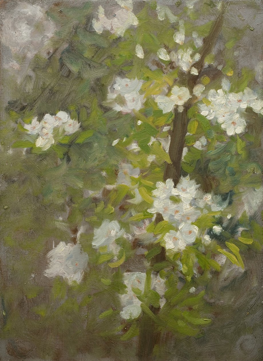 White Blossom av Henry Scott Tuke