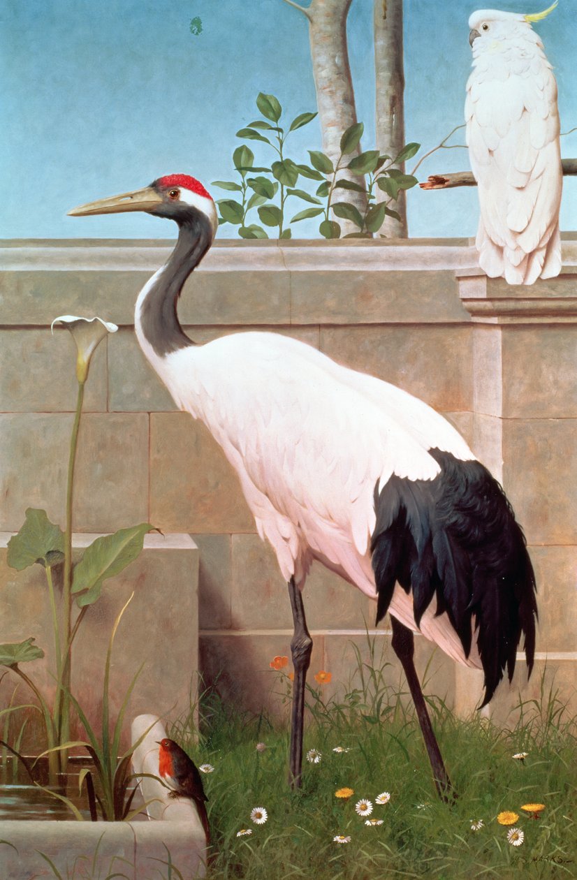 Manchurian Crane, Cockatoo og Robinswed av Henry Stacey Marks