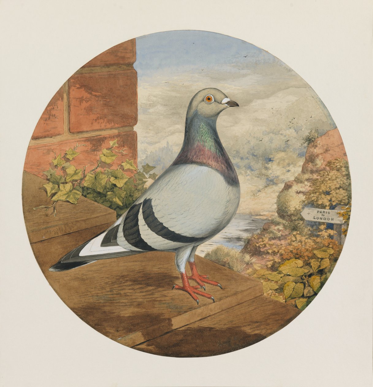 Racing Pigeons, Paris till London, 1880 av Henry Stephen Ludlow