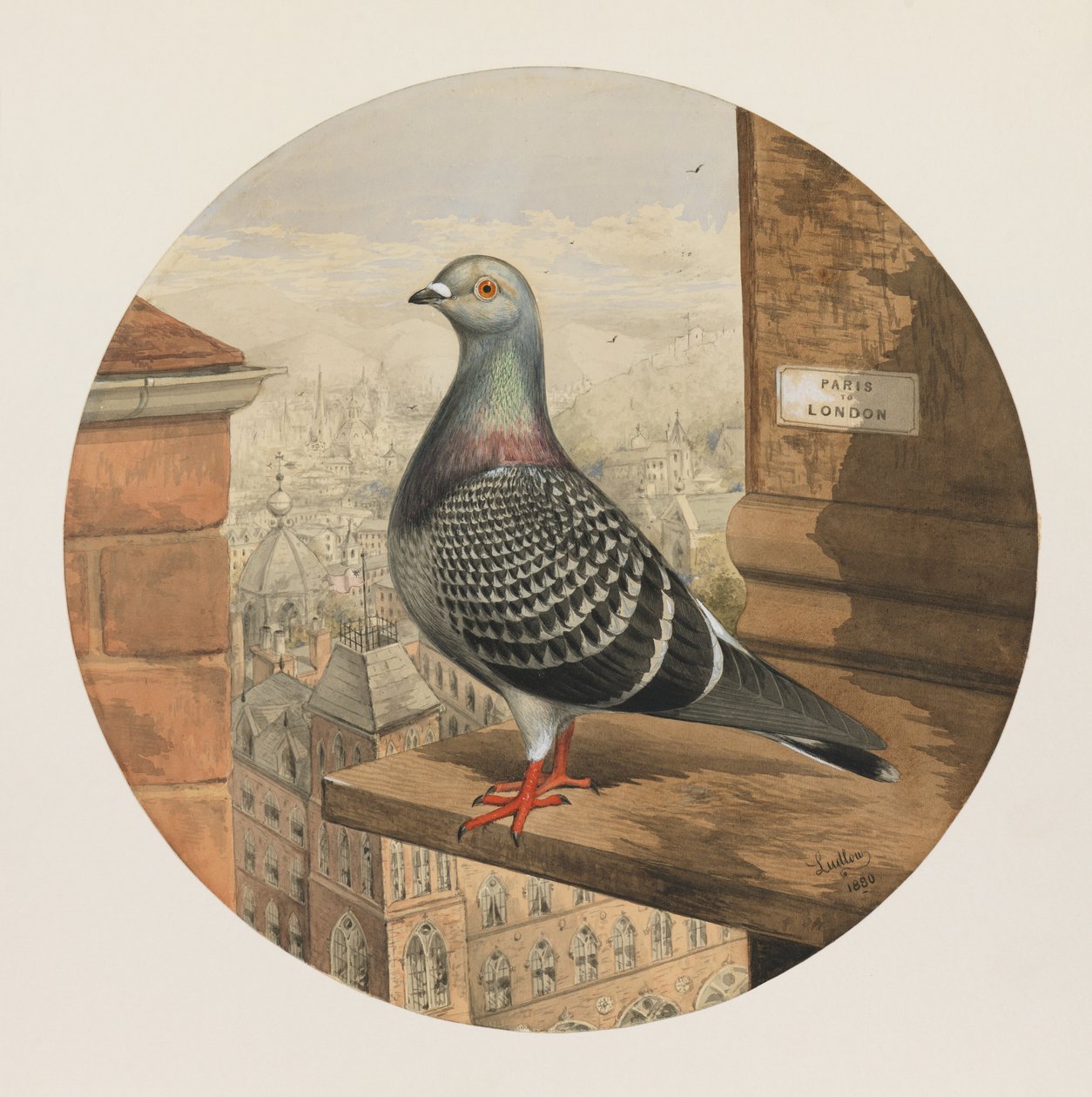 Racing Pigeons, Paris till London, 1880 av Henry Stephen Ludlow