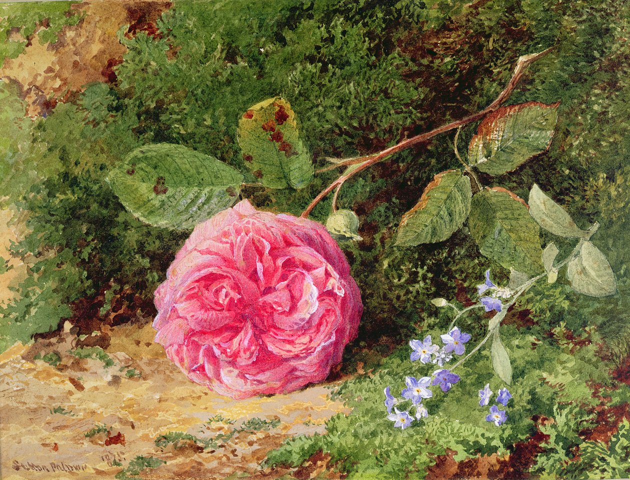 Rosa ros på en mossig bank, 1875 av Henry Sutton Palmer