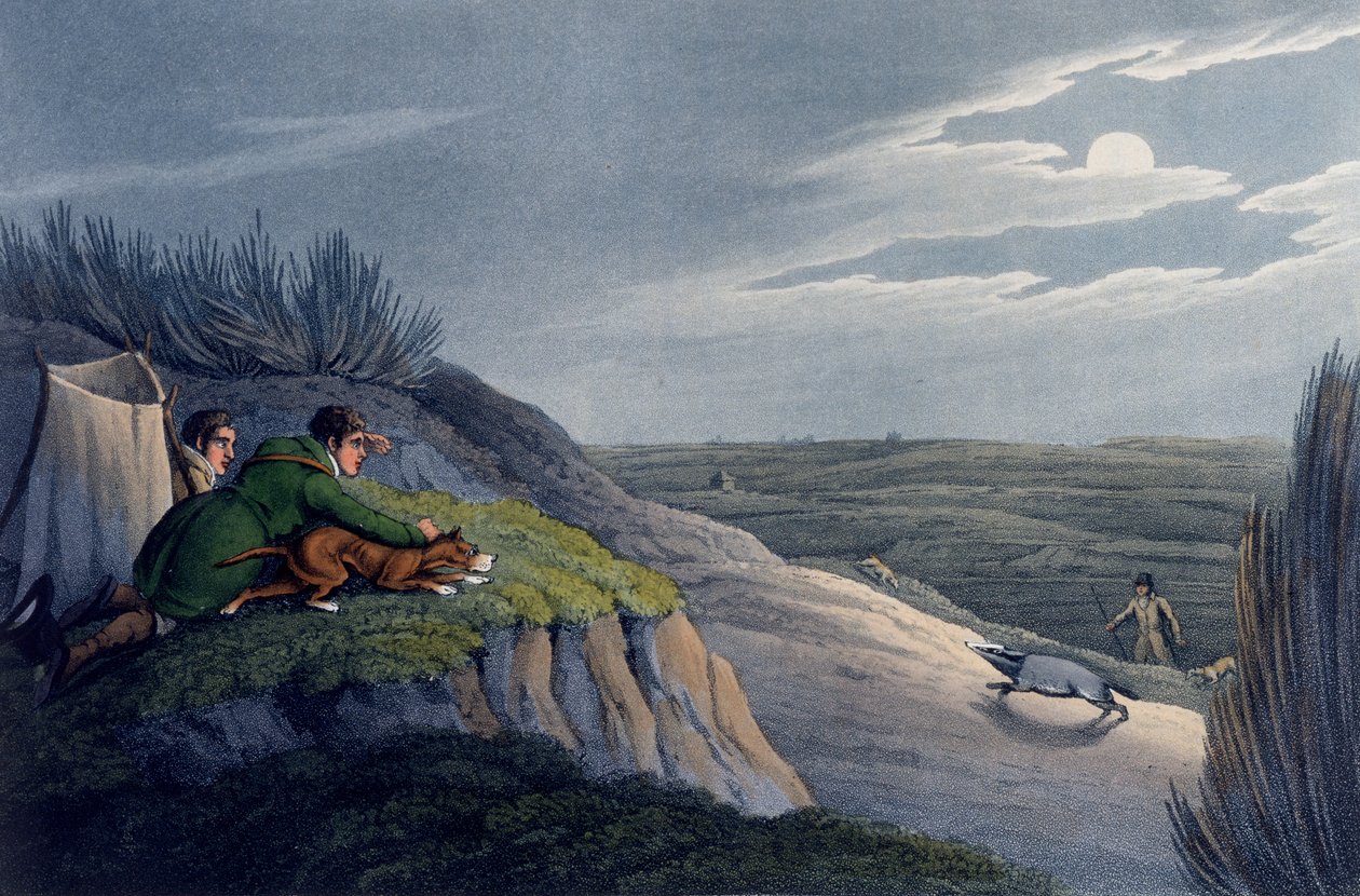 Grävlingfångst, 1820 av Henry Thomas Alken