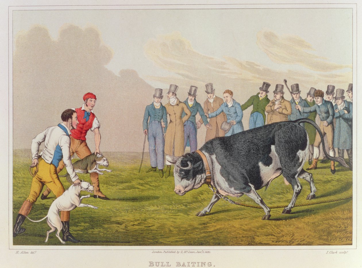 "Bull Baiting", utgiven av Thomas McLean, 1820, (tryck) av Henry Thomas Alken
