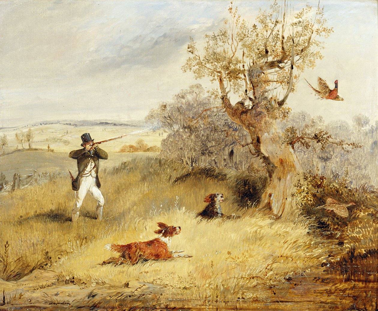 Pheasant Risasi swed av Henry Thomas Alken