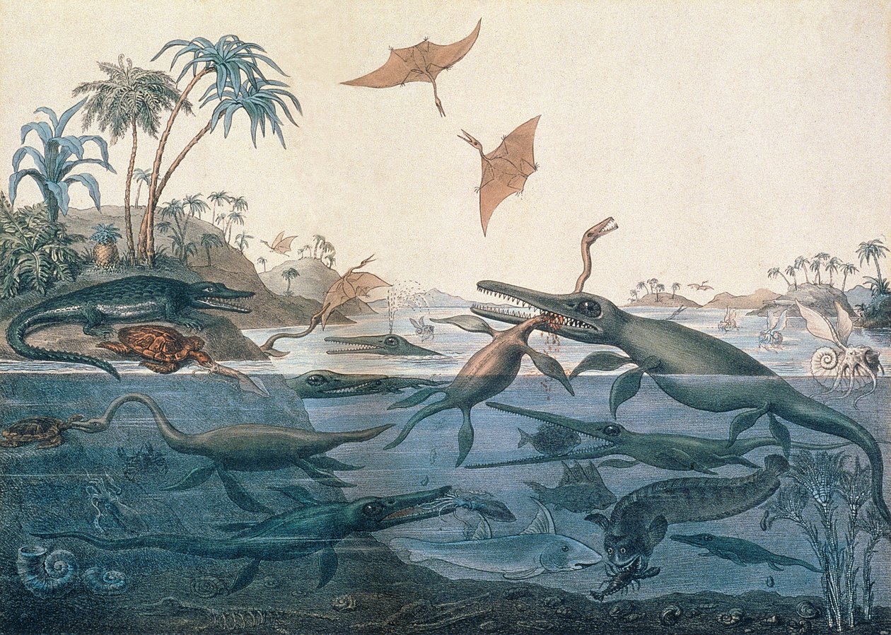 Duria antiquior (Ancient Dorset), en fantasifull rekonstruktion av livet i Jurassic haven, graverad av George Scharf (1820-95) tryckt av Charles Joseph Hullmandel (1789-1850) av Henry Thomas De La Beche