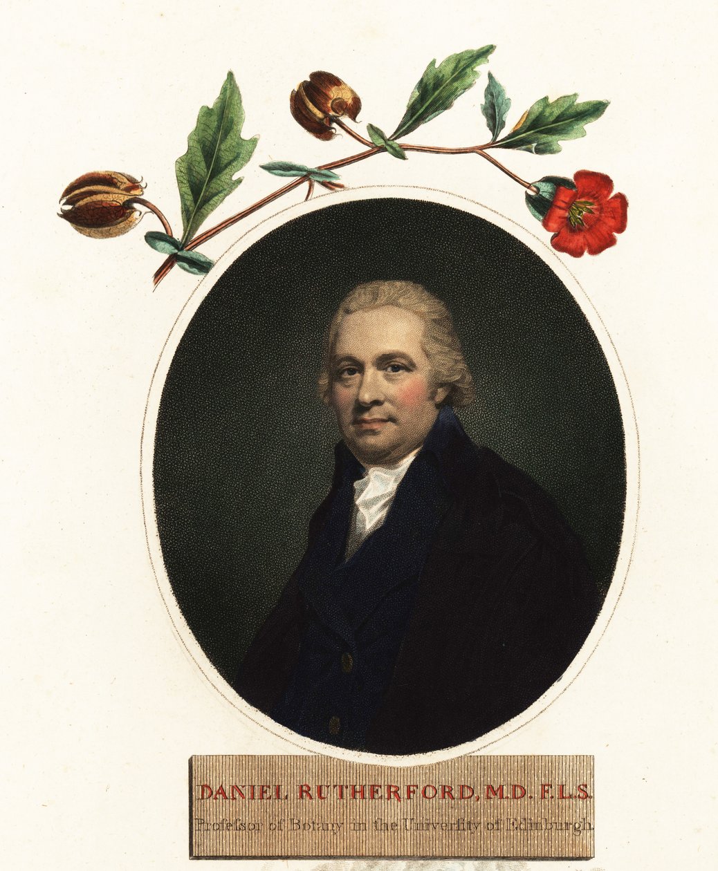Porträtt av Daniel Rutherford, botaniker.1805 (gravyr) av Henry (after) Raeburn