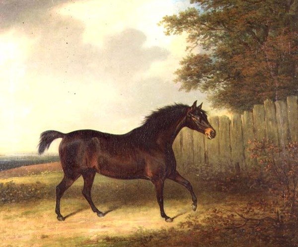 En mörk bukhingst i ett landskap av Henry Bernard Chalon