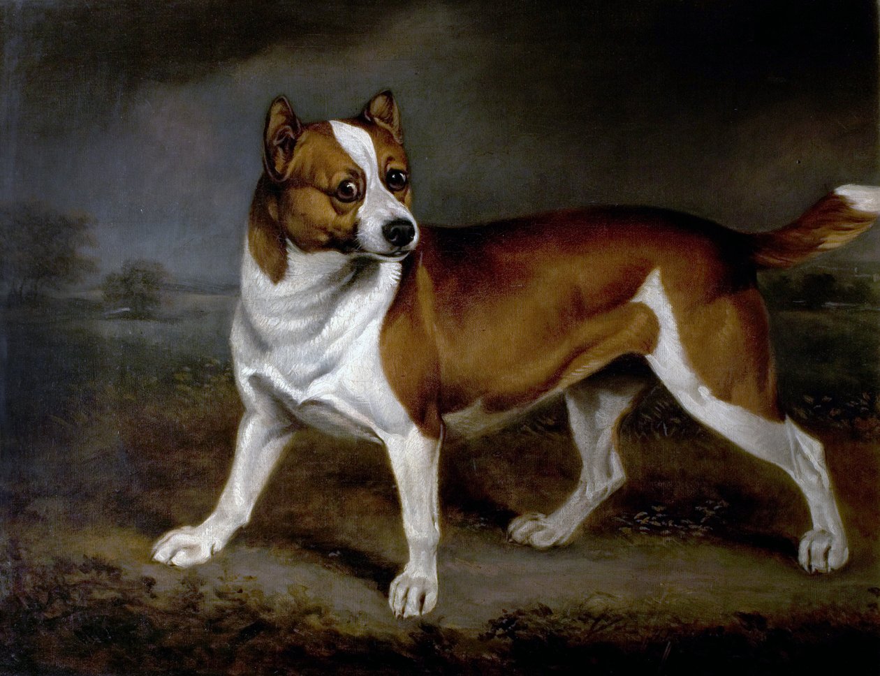 Nässla, 1812 av Henry Bernard Chalon