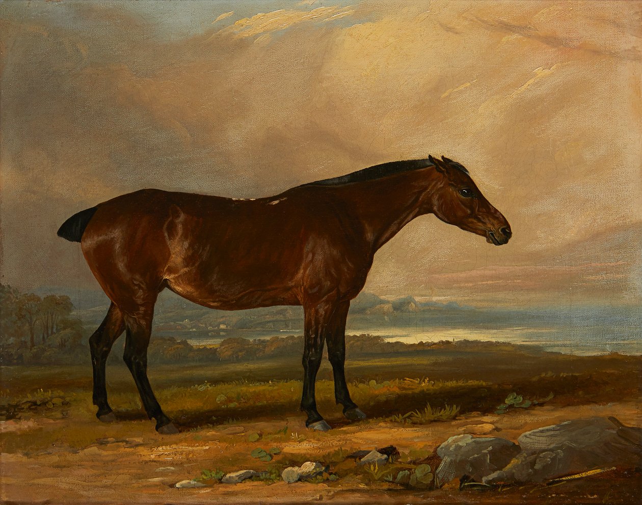 Studie av en Bay Hunter in a Landscape (olja på duk) av Henry Calvert