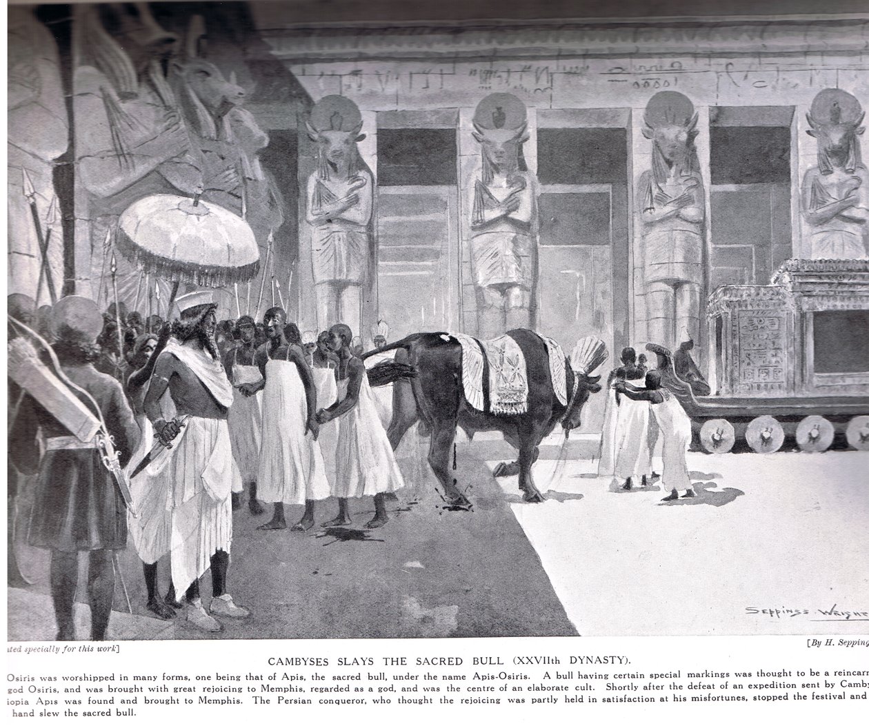 Cambyses dräper den heliga tjuren, illustration från 