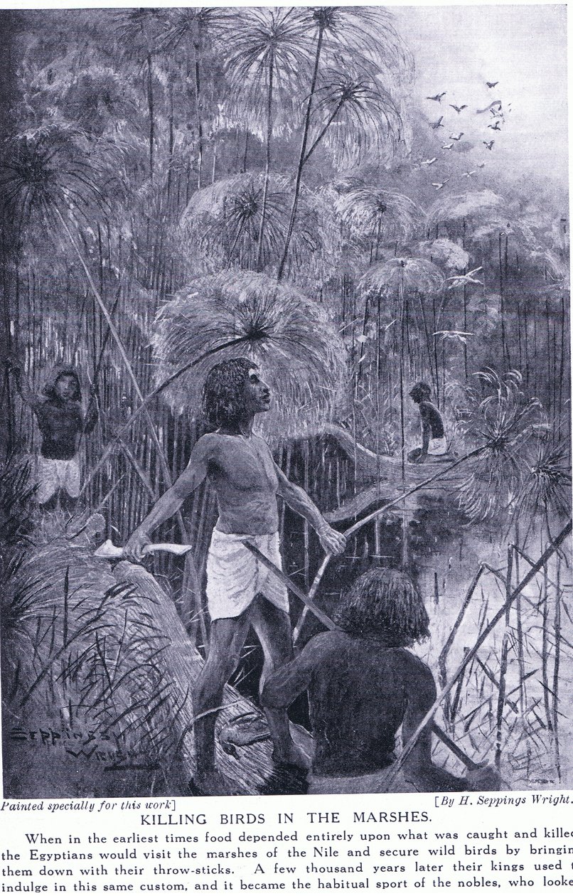 Att döda fåglar i kärren, c.1920 av Henry Charles Seppings Wright