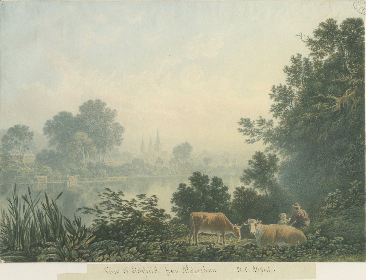 Lichfield Cathedral - Utsikt från Aldershaw av Henry Curzon Allport
