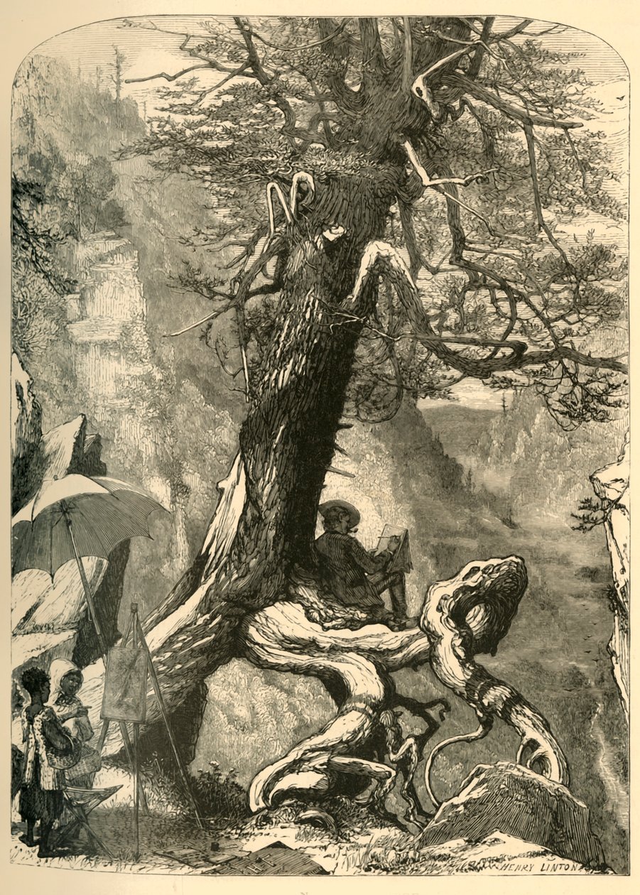 "Ovanför den naturliga bron", 1872. av Henry Duff Linton