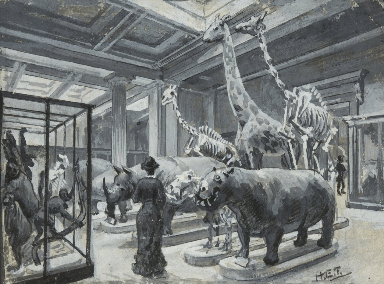 Interiörvy av British Museum som visar galleriet som innehåller djurutställningar, c.1880 av Henry Edward Tidmarsh