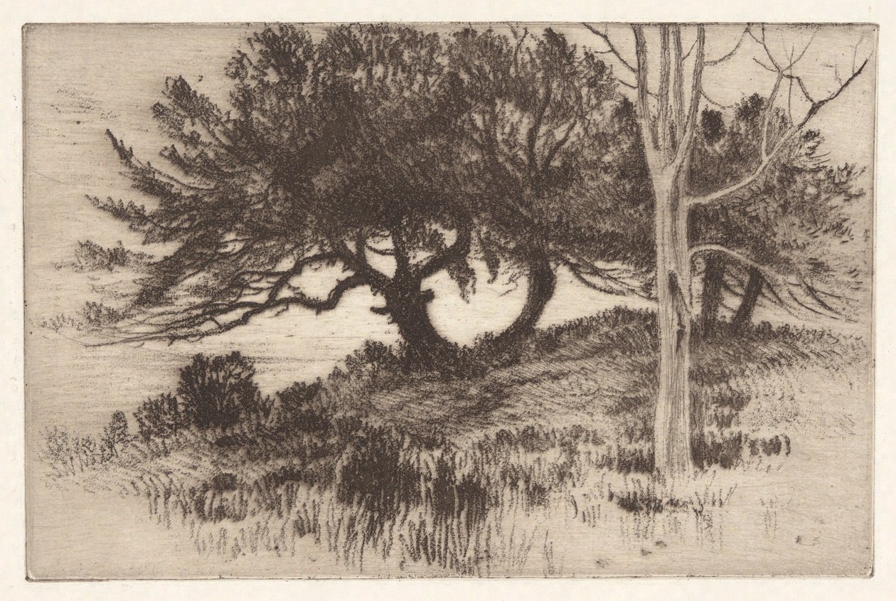 Nära havet av Henry Farrer