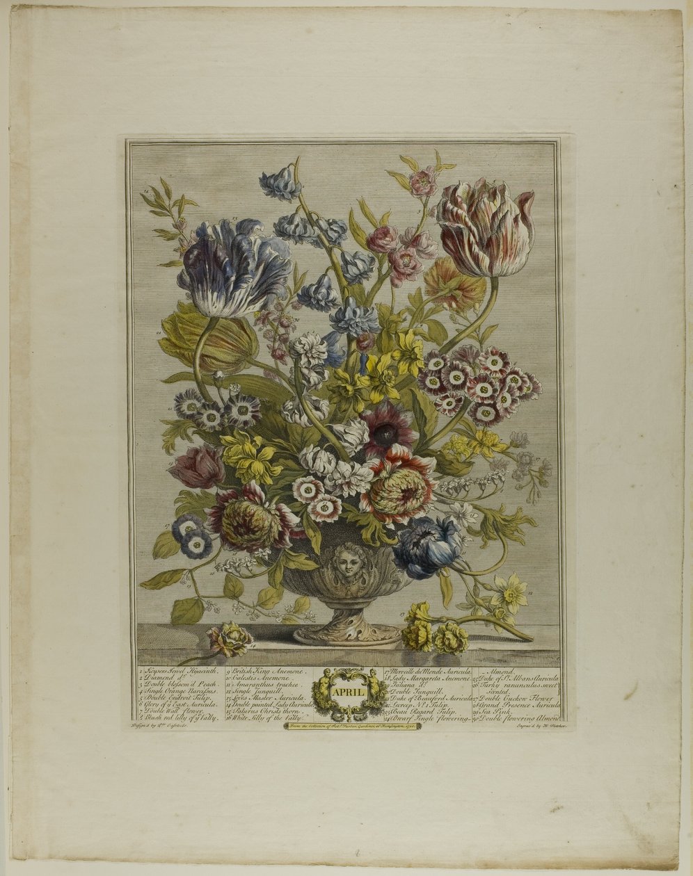 April, från Tolv månader av blommor av Henry Fletcher