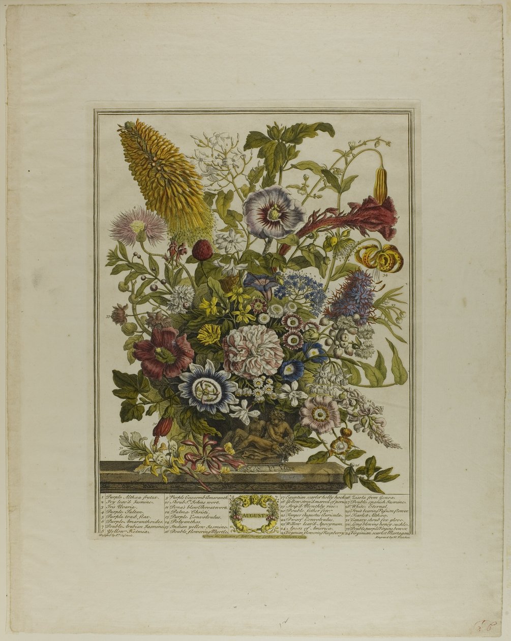 Augusti, från Tolv månader av blommor av Henry Fletcher