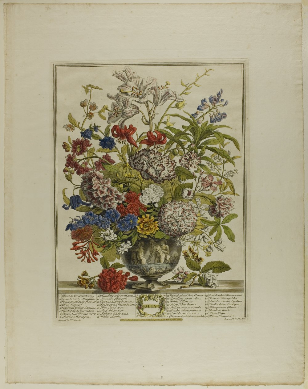 Juli, från Tolv månader av blommor av Henry Fletcher