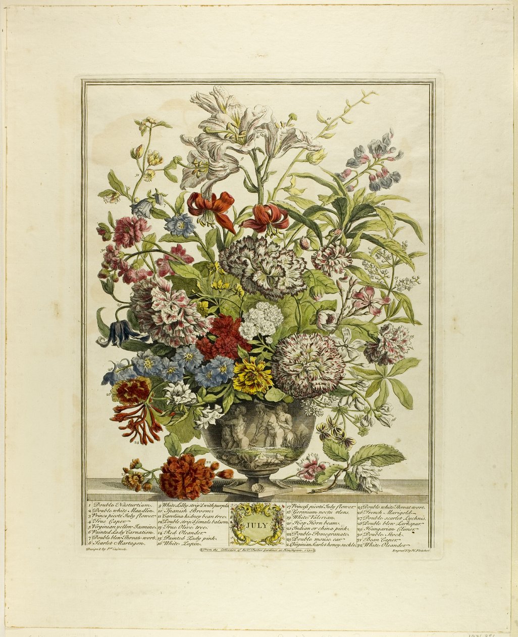 Juli, från Tolv månaders blommor av Henry Fletcher