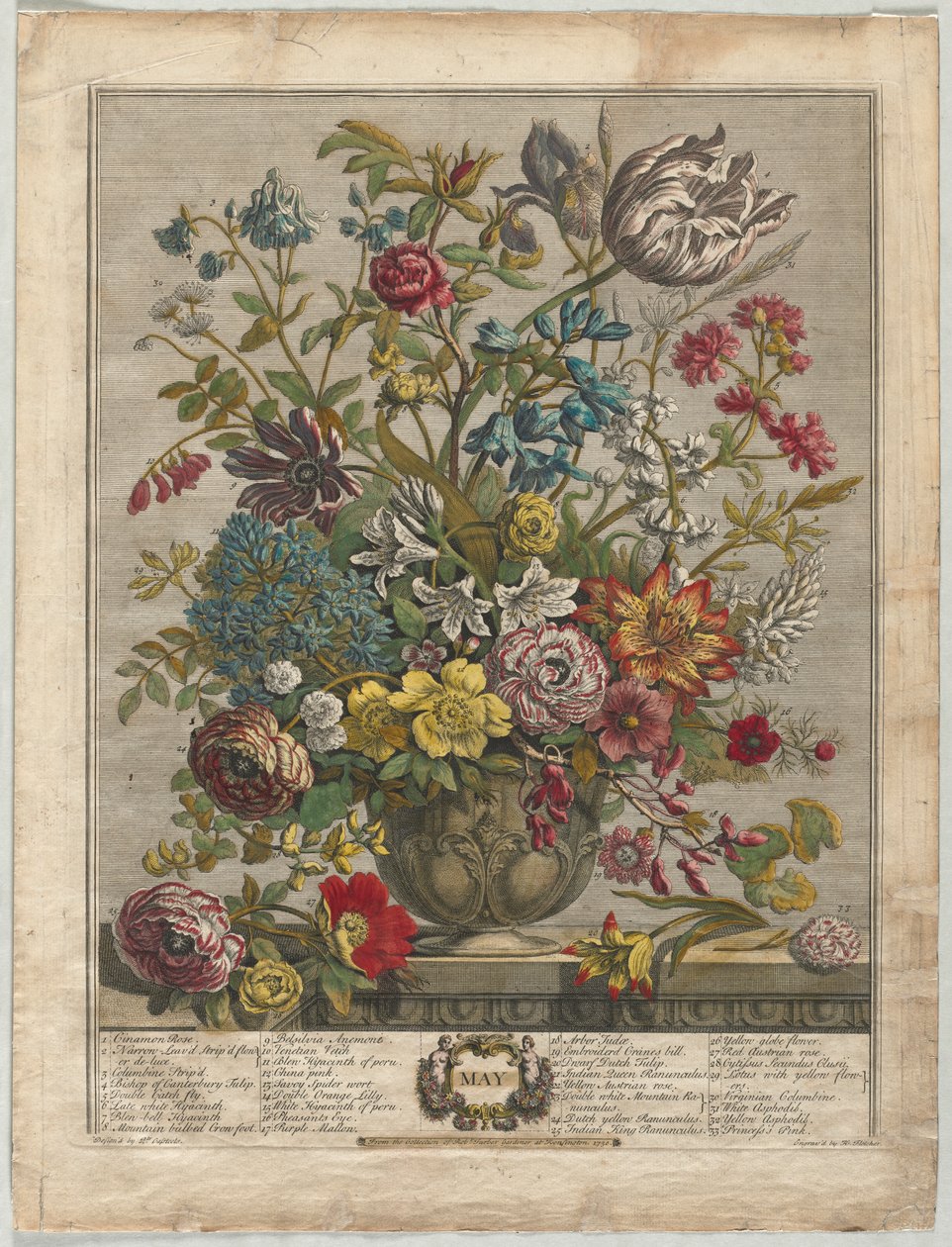 Tolv månaders blommor: maj av Henry Fletcher