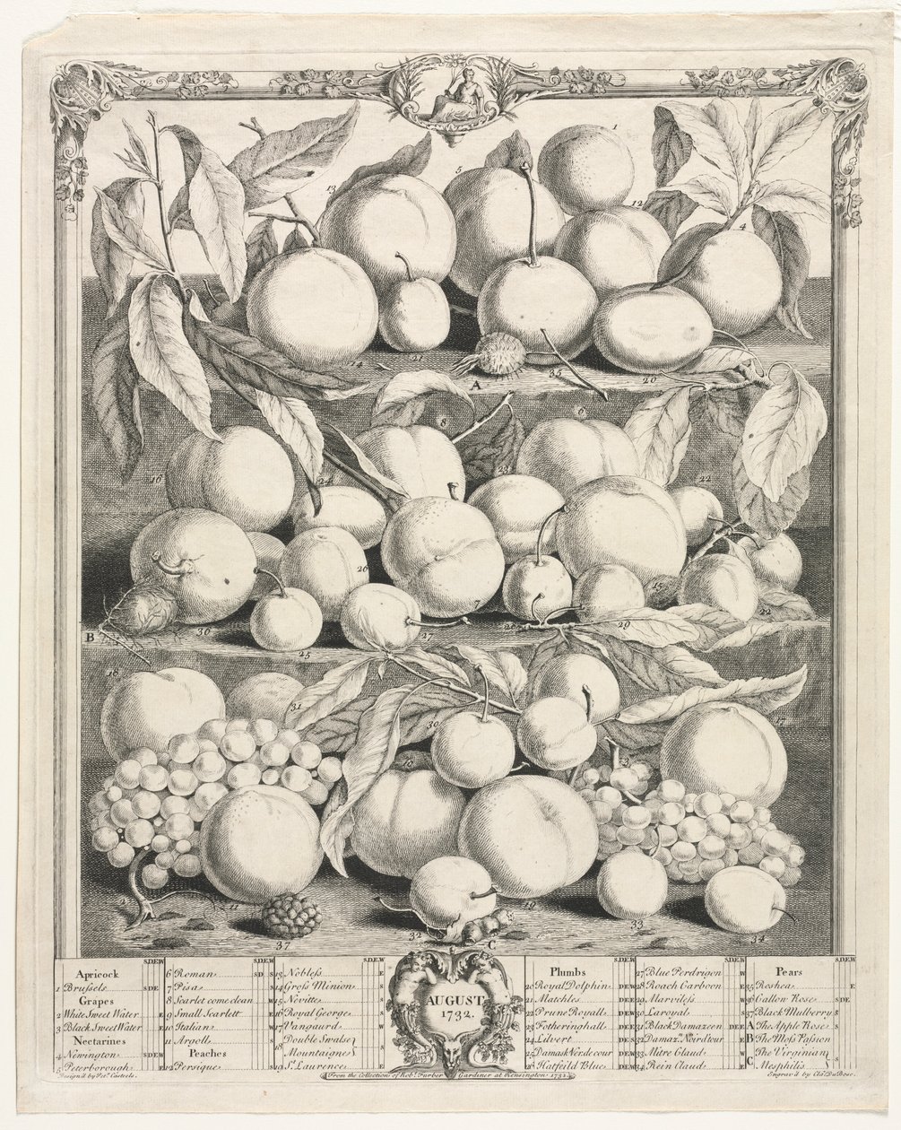Tolv månaders frukt: augusti 1732. av Henry Fletcher