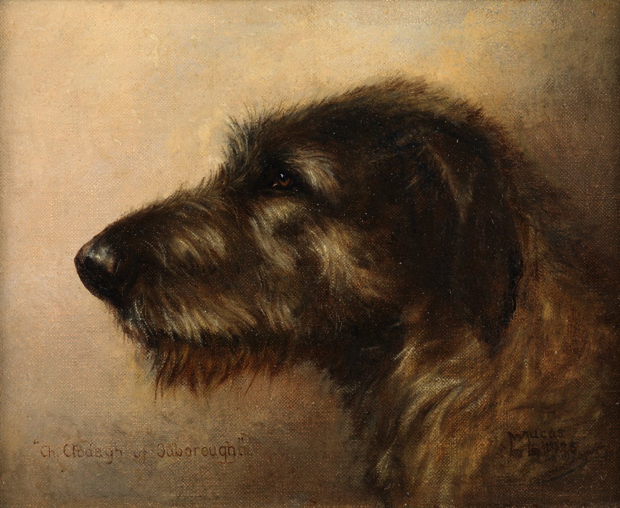 Champion Clodagh av Ouborough, den irländska varghunden av Henry Frederick Lucas Lucas