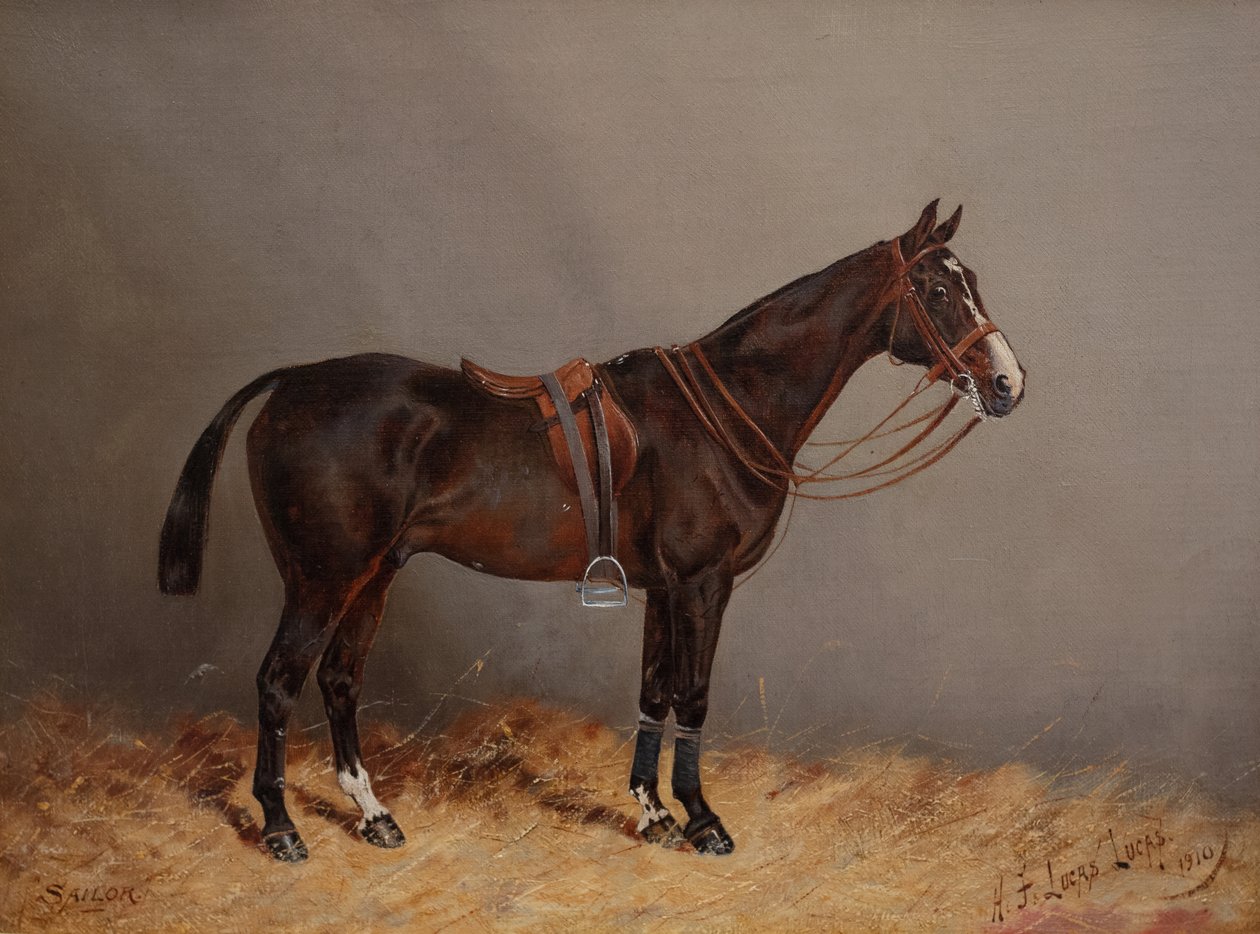 Sjöman av Henry Frederick Lucas Lucas