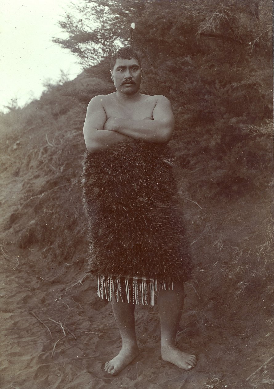 Maori Study, ca 1910 (silvergelatintryck) av Henry Gaze