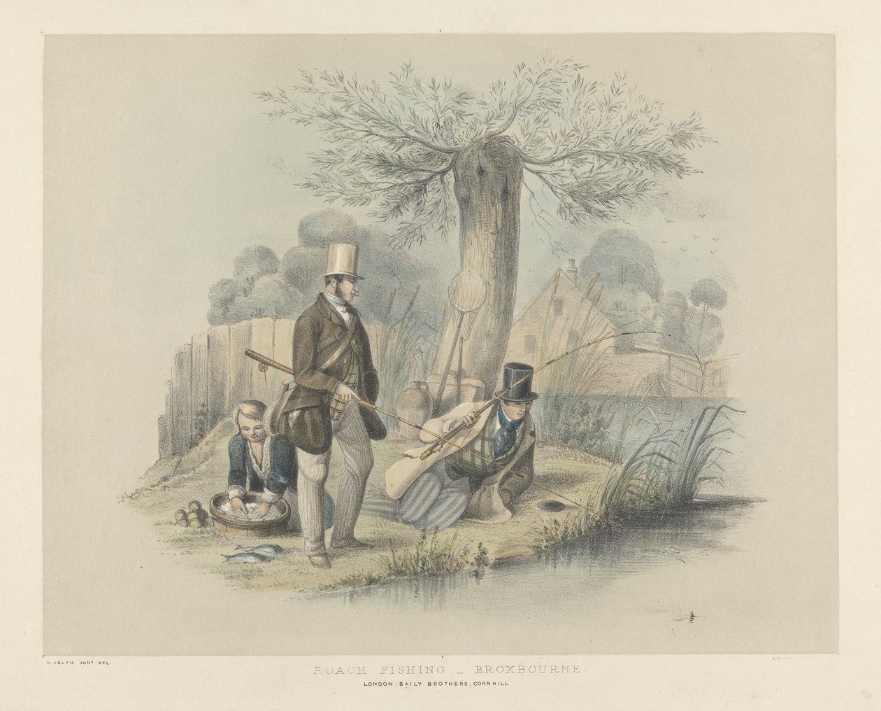 Mörtfiske, Broxbourne, från en uppsättning av sex bilder av mete (handfärgad litho) av Henry Heath