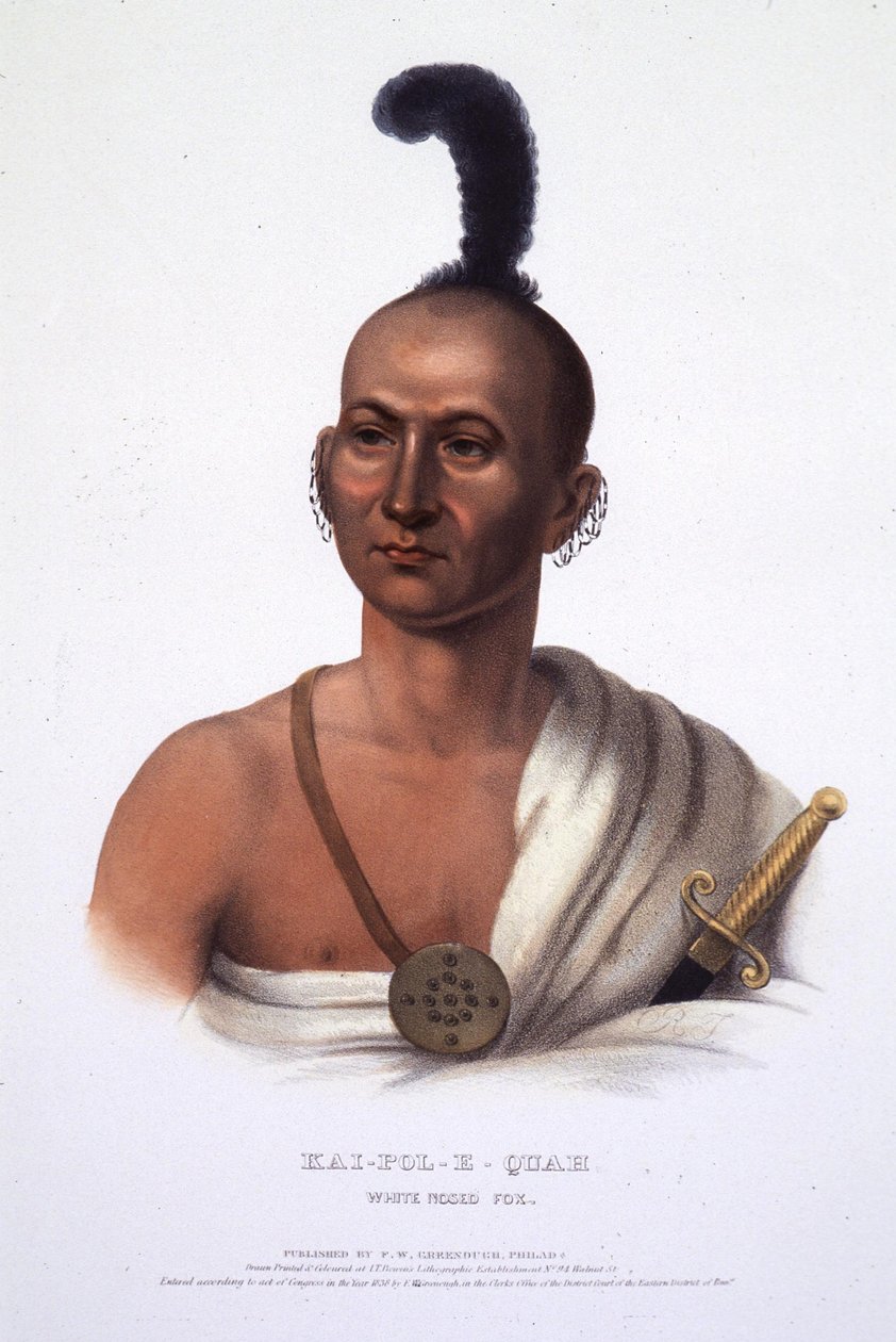 Kai-Pol-E-Quah, vitnosad räv av Henry Inman