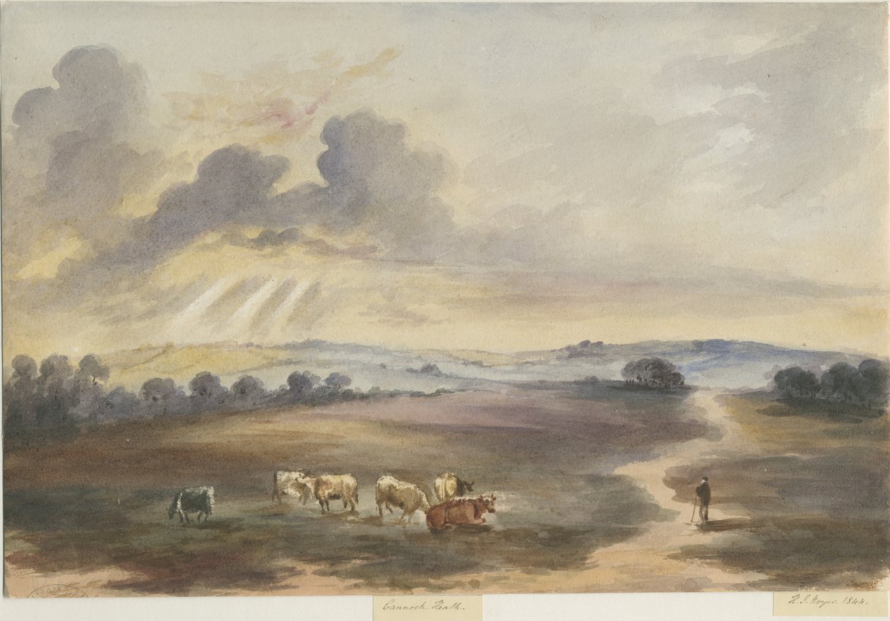 Cannock Chase - "Heath": akvarellmålning, 1844 av Henry James Noyes