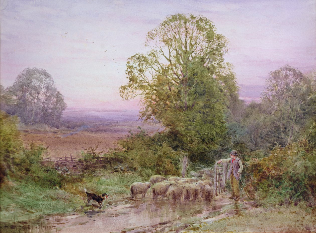 Valda fåren (akvarell) av Henry John Sylvester Stannard